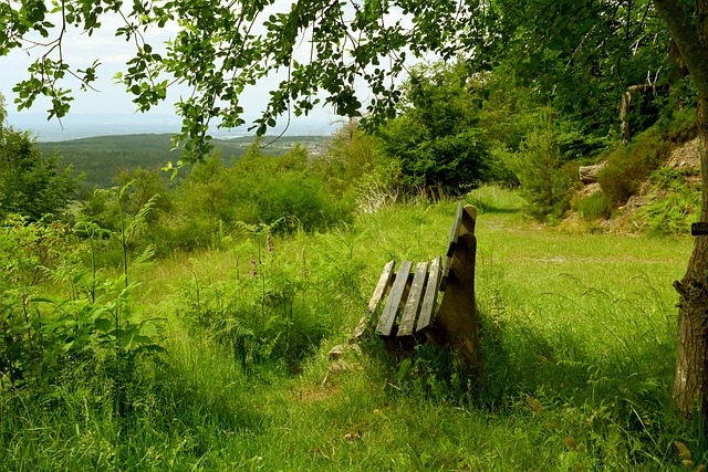 依赖过去的 依赖过去的