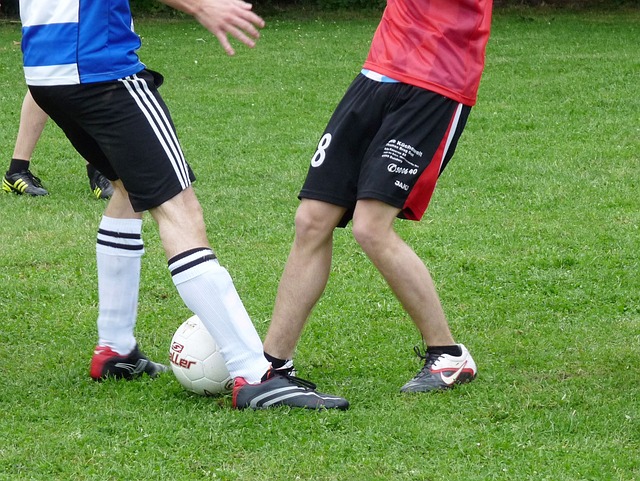 的馬競與國 的馬競與國