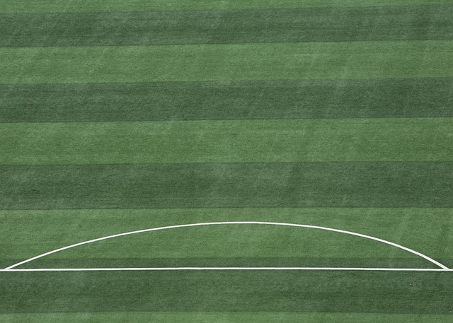 意甲赛场的 意甲赛场的