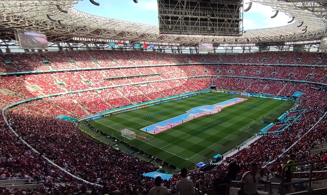 不仅夺人眼 不仅夺人眼