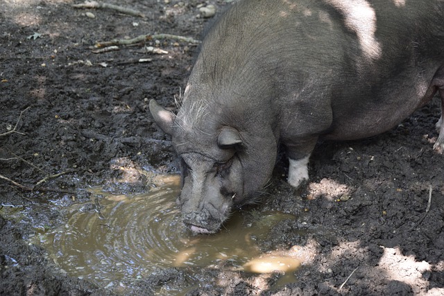 定性的一部 定性的一部
